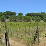 Vila Quinta Dos Medronheiros