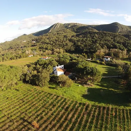 Quinta Dos Medronheiros Villa