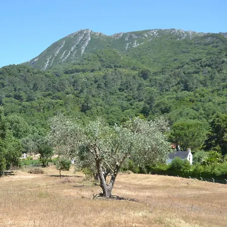 Quinta Dos Medronheiros * Azeitão