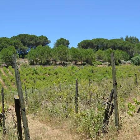 Villa Quinta Dos Medronheiros