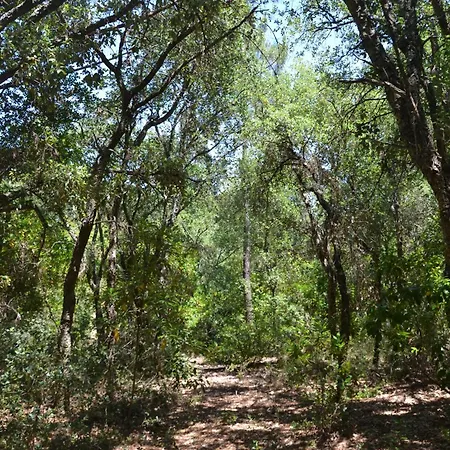 Quinta Dos Medronheiros Azeitão