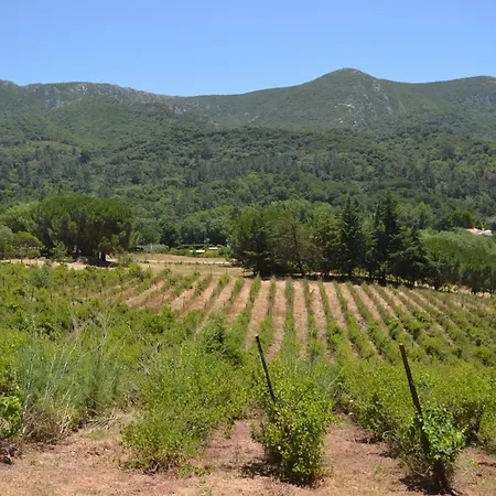 Quinta Dos Medronheiros