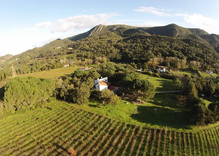 Quinta Dos Medronheiros Villa
