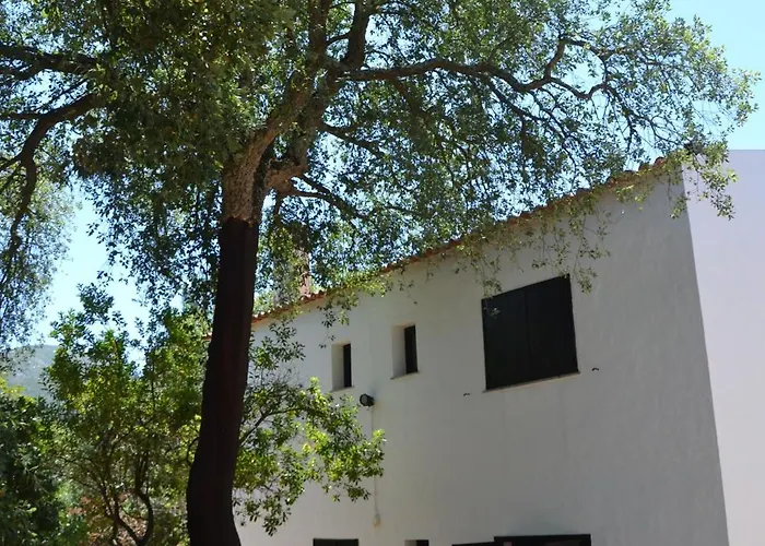 Villa Quinta Dos Medronheiros