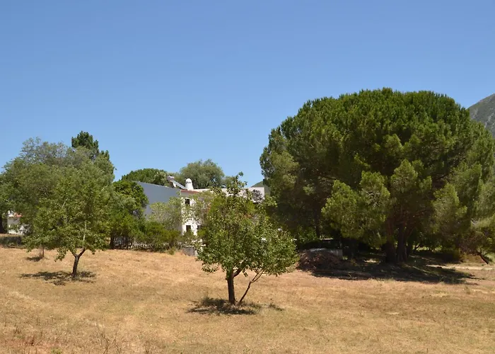 Quinta Dos Medronheiros