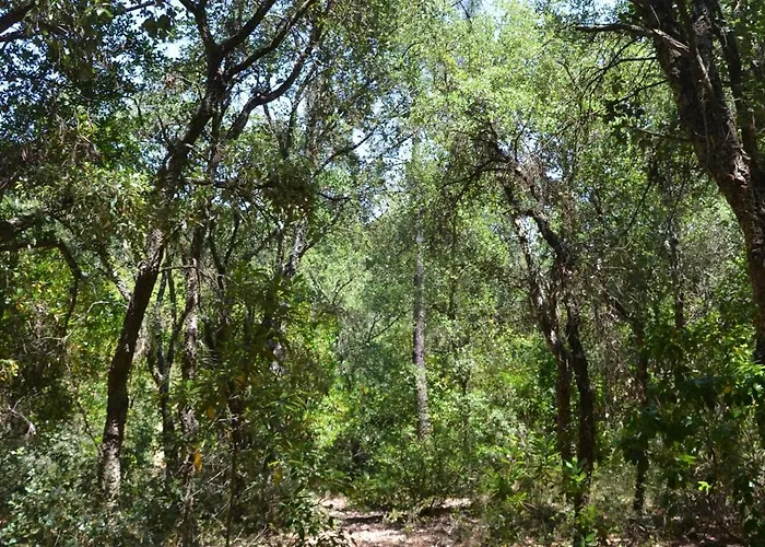 Quinta Dos Medronheiros Azeitao